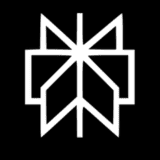 A black magnifying glass icon, representing search, investigation, or exploring data and information.